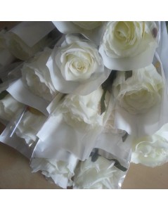 Rose blanche emballée individuellement