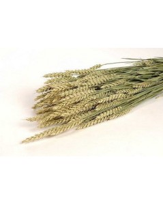 botte de blé