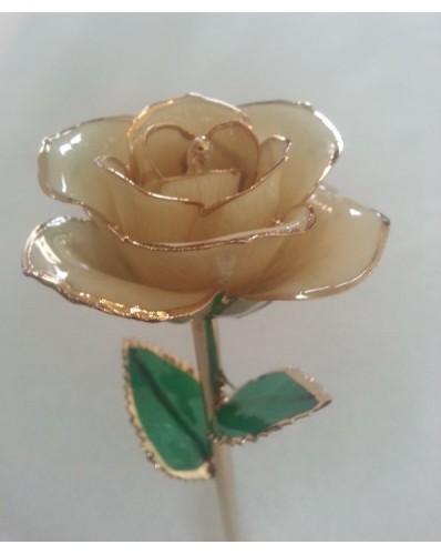 Rose en or 24k couleur blanche