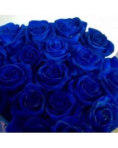 rose naturelle teintée bleue