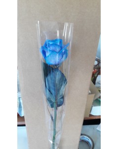 Rose bleue individuelle